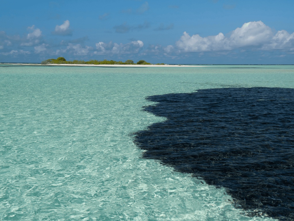 ¿Qué es un Dispersante de Derrames de Petróleo? Explorando las Soluciones Innovadoras de AquaQuick