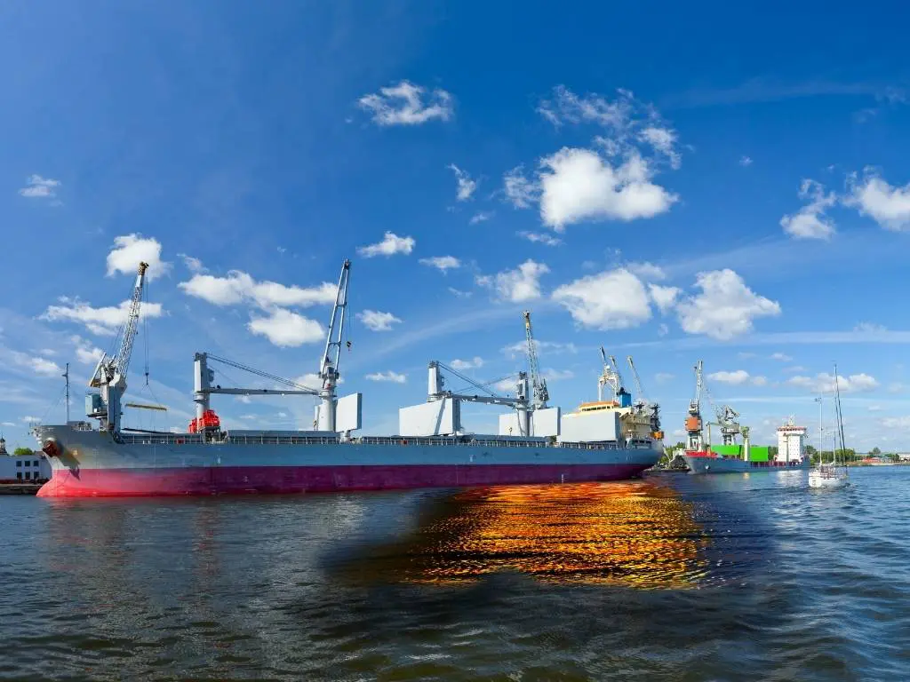 ¿Cómo limpiar derrames de petróleo?