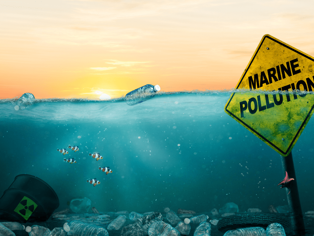 Revolucionando la Limpieza del Océano: Soluciones y Estrategias Innovadoras