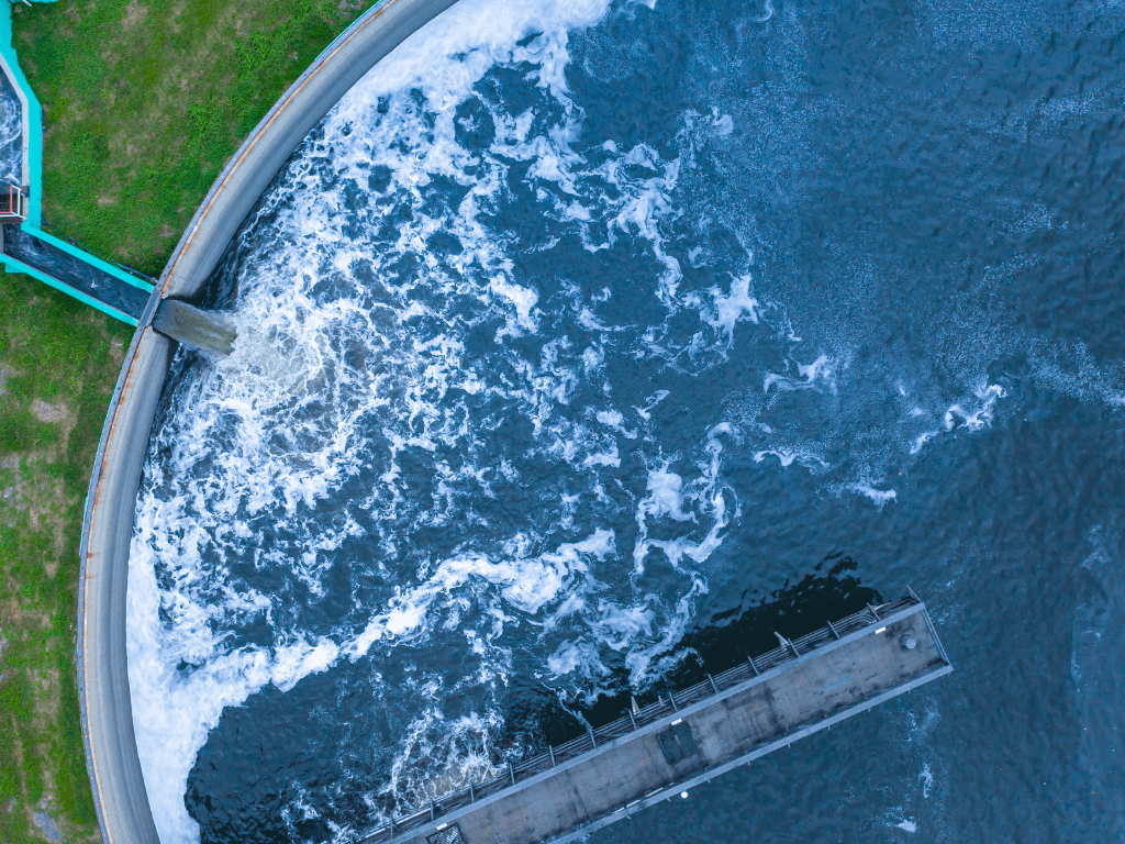Filtración en Tanques Marinos: Guía Definitiva para el Cuidado de Acuarios de Agua Salada