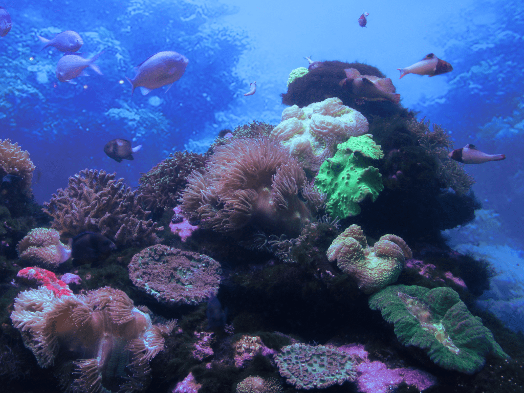 ¿Cómo afecta un derrame de petróleo a la industria pesquera? Una guía completa