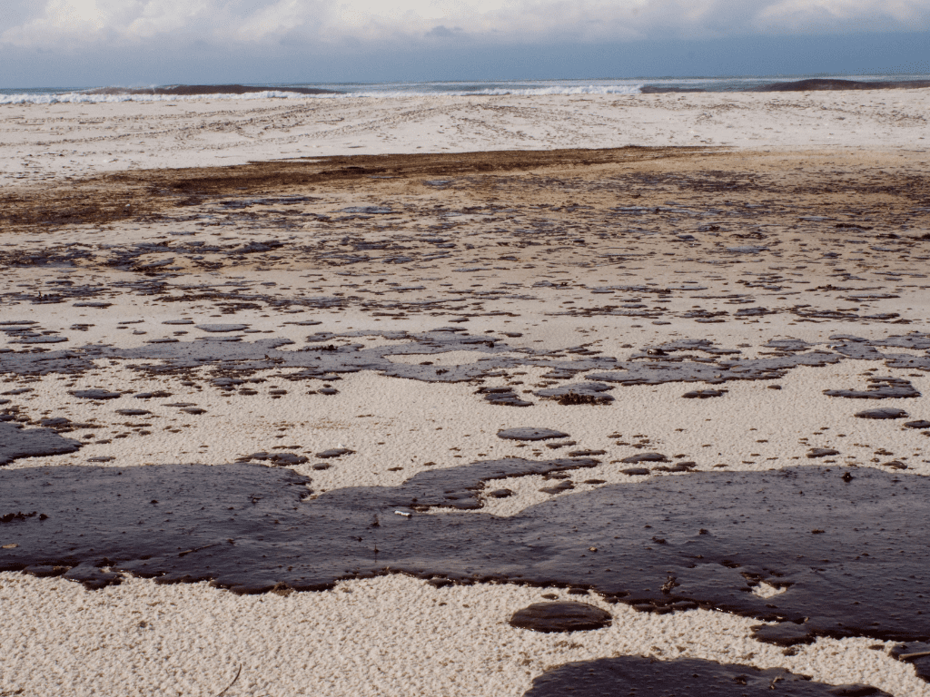 Comprender las Causas de los Vertidos de Petróleo, Sus Impactos y Perspectivas Futuras