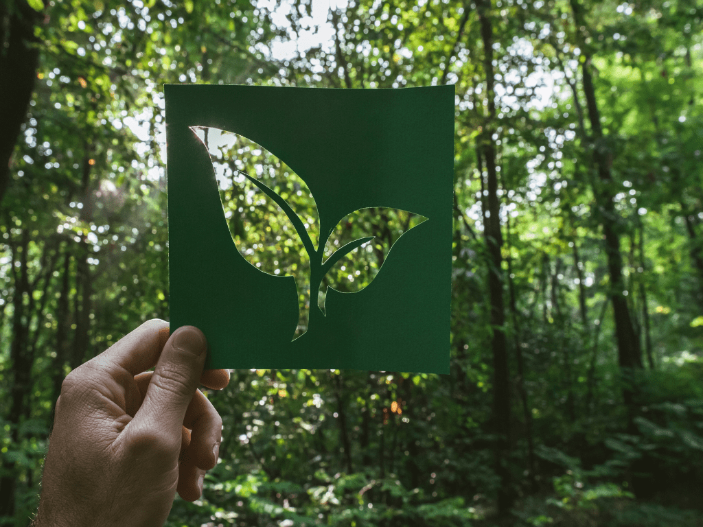 Cómo los Agentes de Limpieza Biodegradables Están Revolucionando la Limpieza Industrial